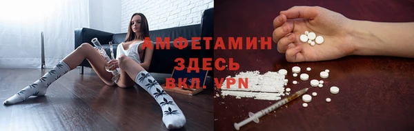 гашик Алзамай