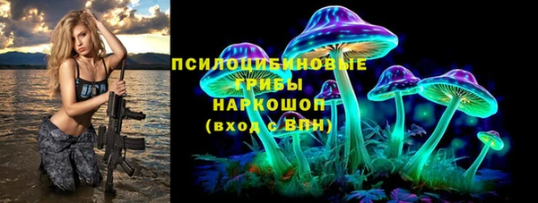 гашик Балахна