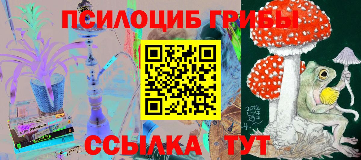 Галлюциногенные грибы ЛСД  Вход с VPN  Спасск-Дальний  Псилоцибиновые грибы Psilocybine cubensis 
